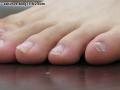 足の指